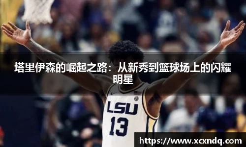 zoty中欧