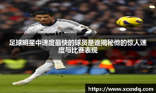 星空xingkong官方网站