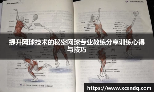 星空xingkong官方网站