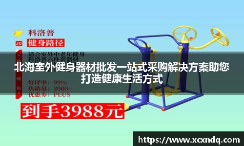 星空xingkong官方网站